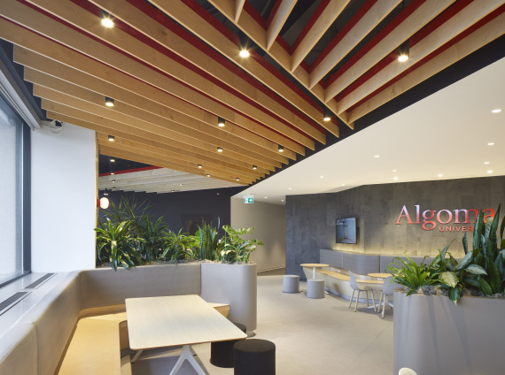Algoma Brampton Campus (10)